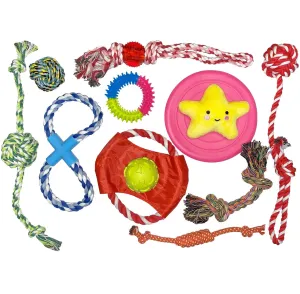12PCS Dog Play Bundle