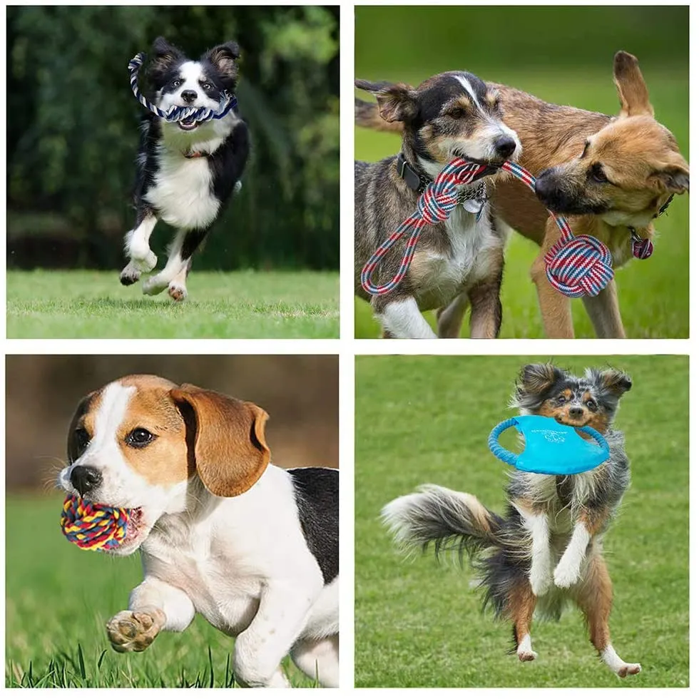 12PCS Dog Play Bundle