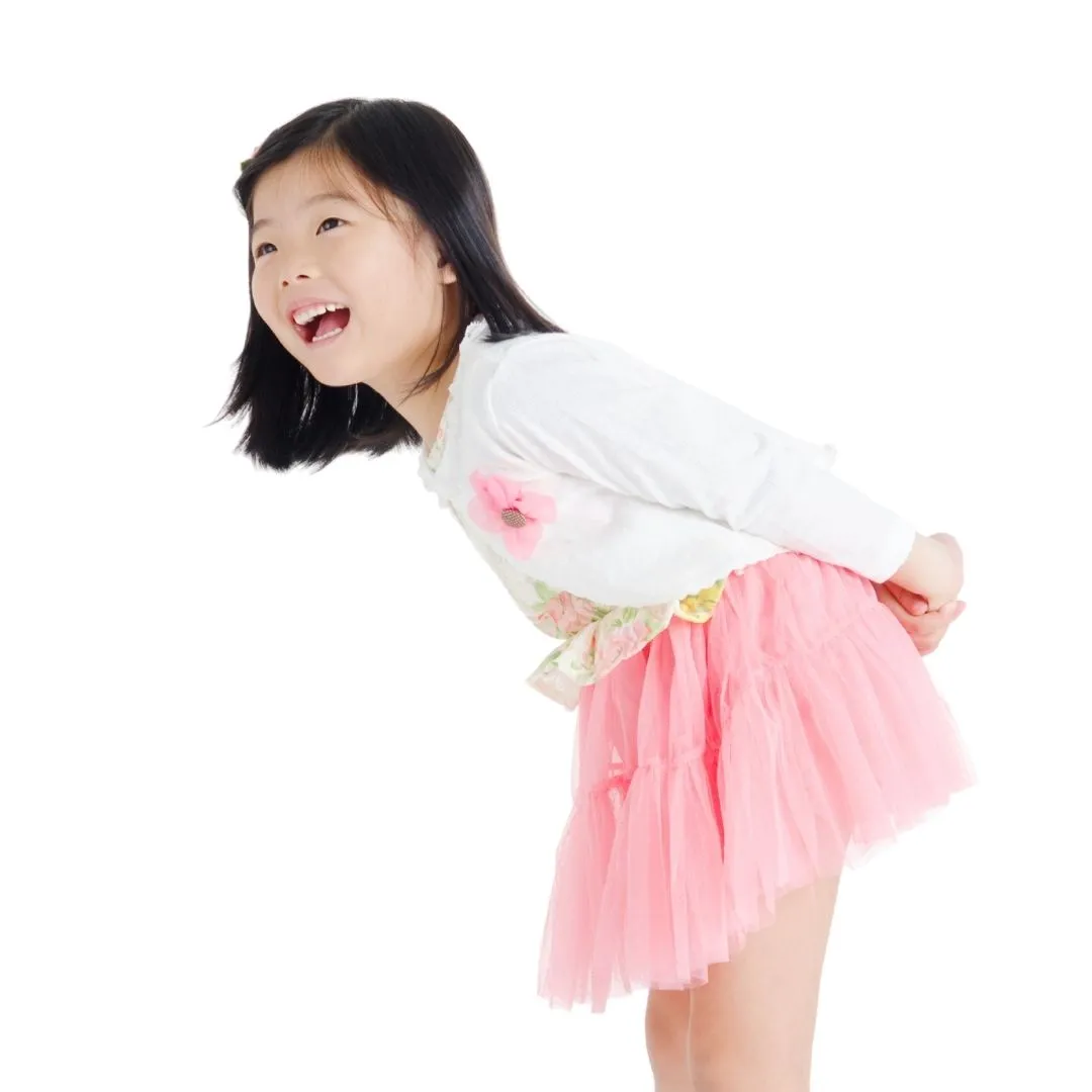 Ballet Skirt