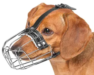 Dog Chrome Metal Muzzles for Dachshund Adjustable Leather Straps