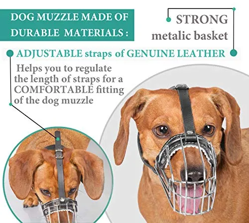 Dog Chrome Metal Muzzles for Dachshund Adjustable Leather Straps