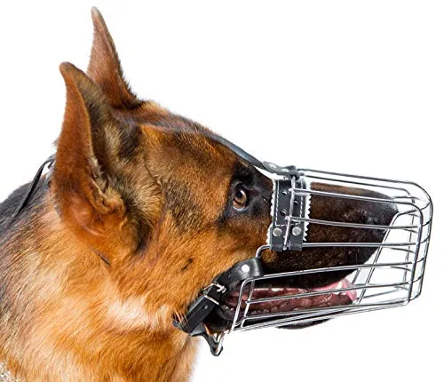 Dog Chrome Metal Muzzles Wire Basket Adjustable Leather Straps German Shepherd Reinforced (№3) Snout Circumference is 13.7-14.5 in, Length is 4.9-5.3 in.