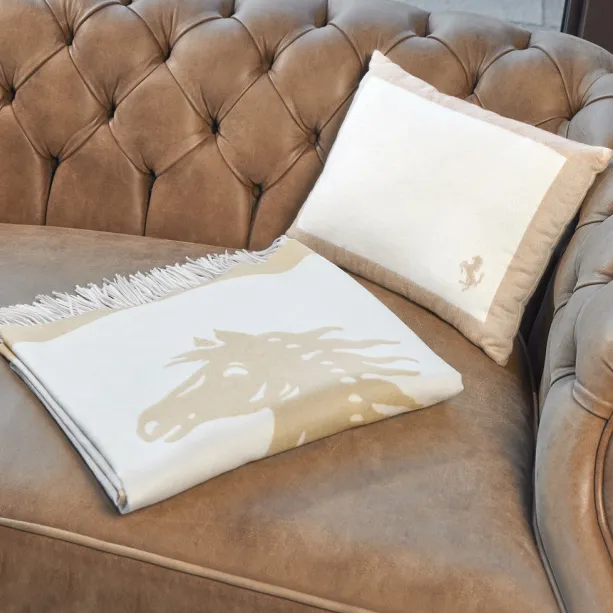 Ferrari Travel Comfort Set