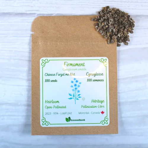Firmament Chinese Forget Me Not Seeds
