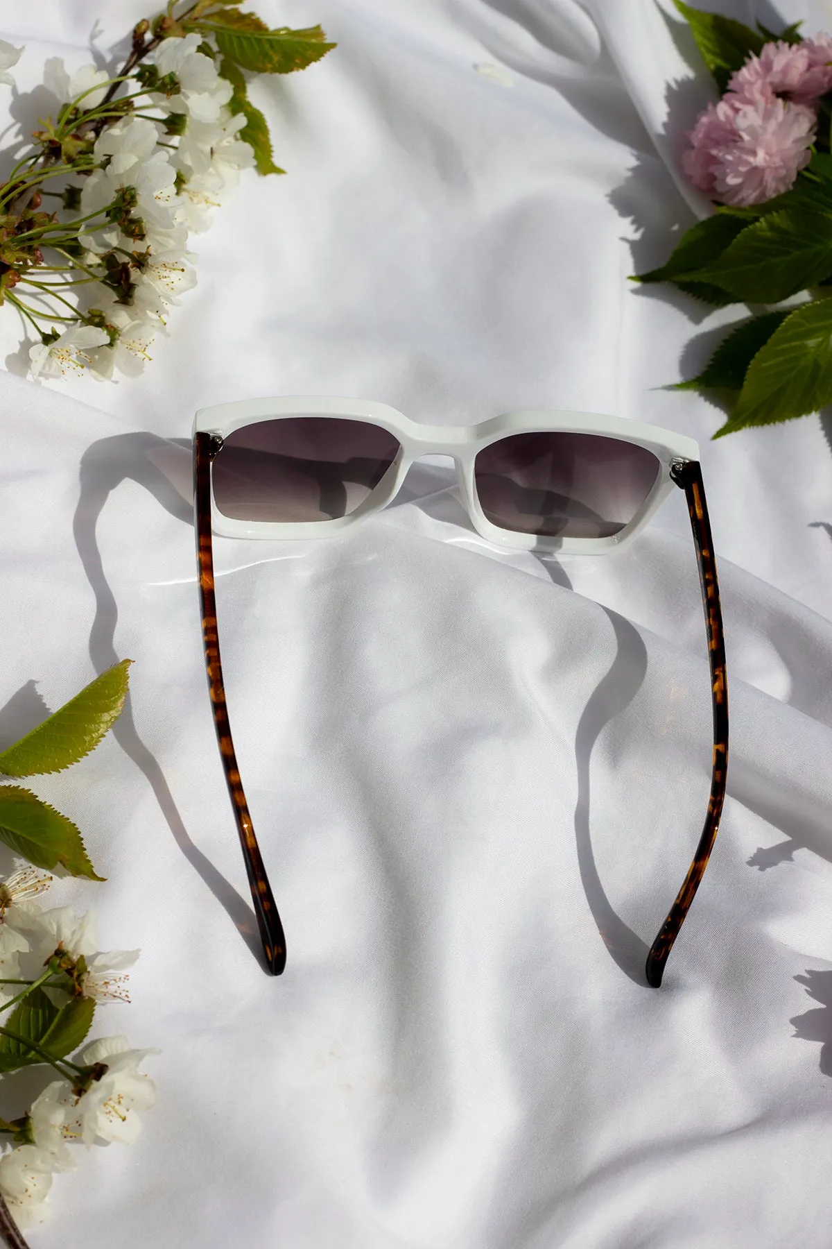 Full Lens Cat Eye Point Sunglasses