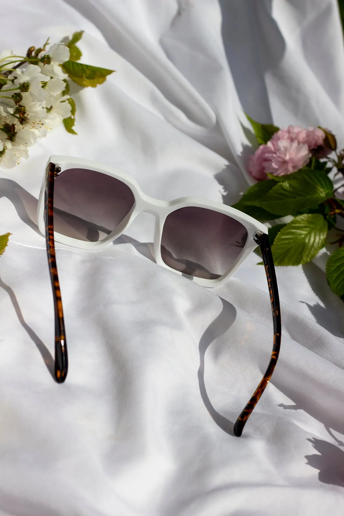 Full Lens Cat Eye Point Sunglasses