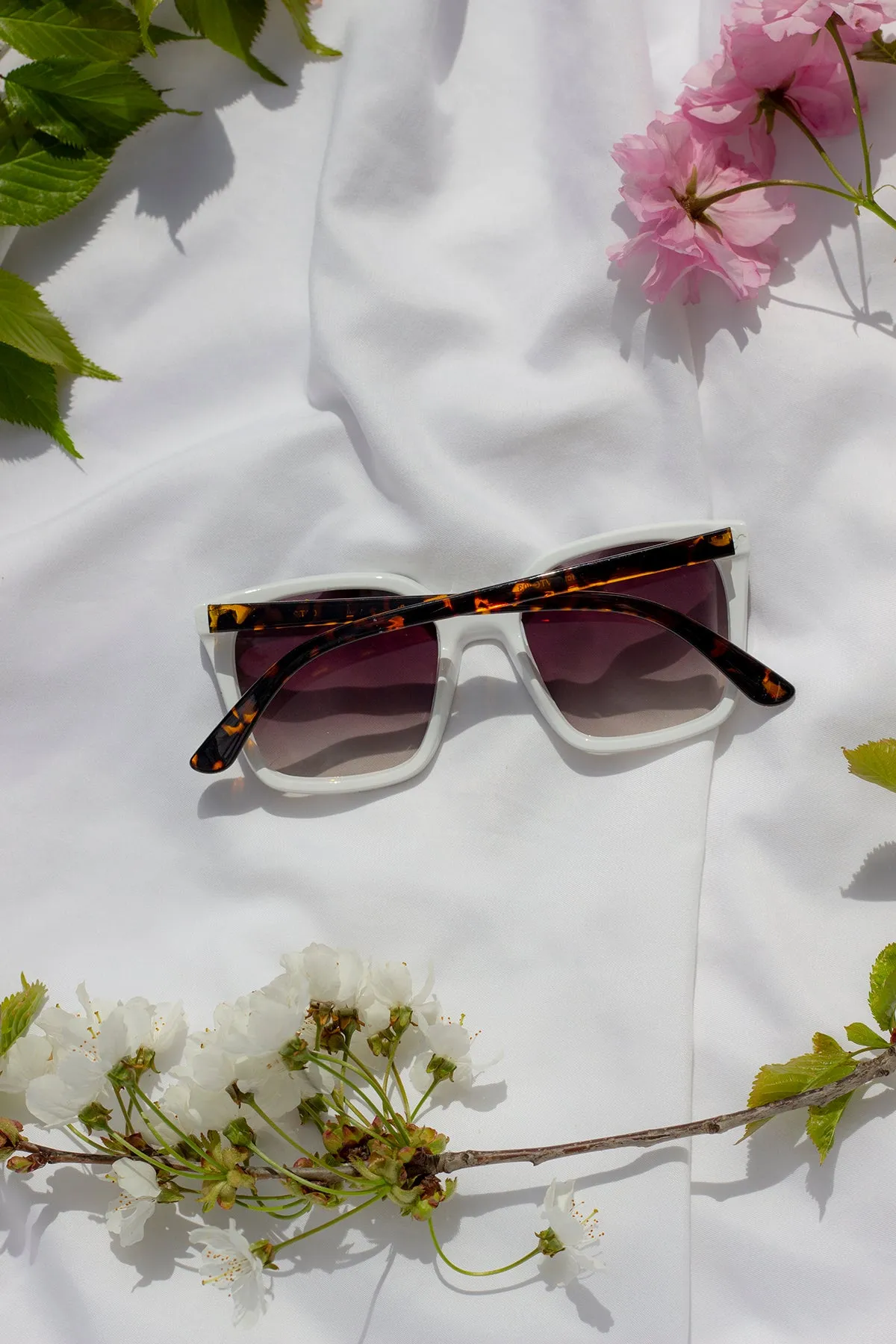 Full Lens Cat Eye Point Sunglasses
