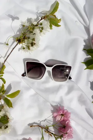 Full Lens Cat Eye Point Sunglasses