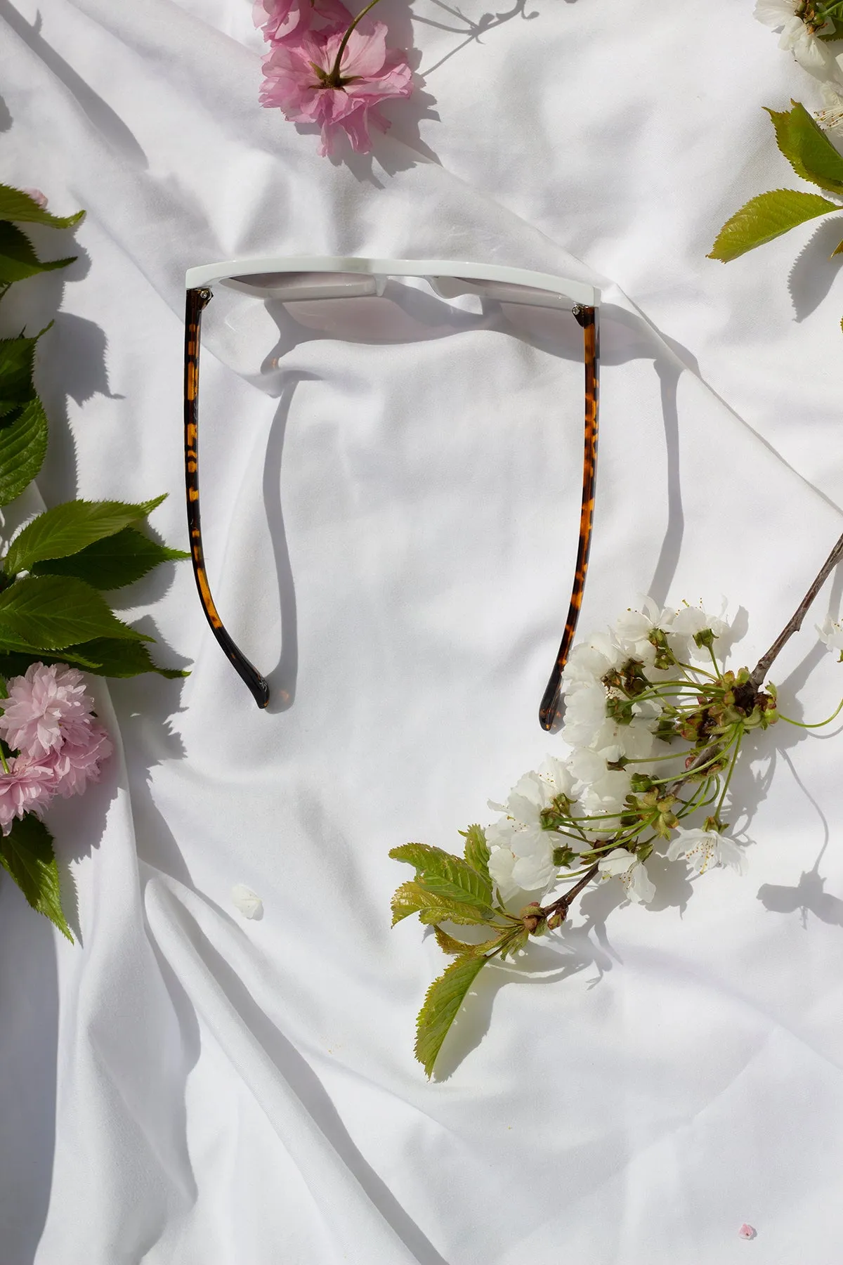 Full Lens Cat Eye Point Sunglasses