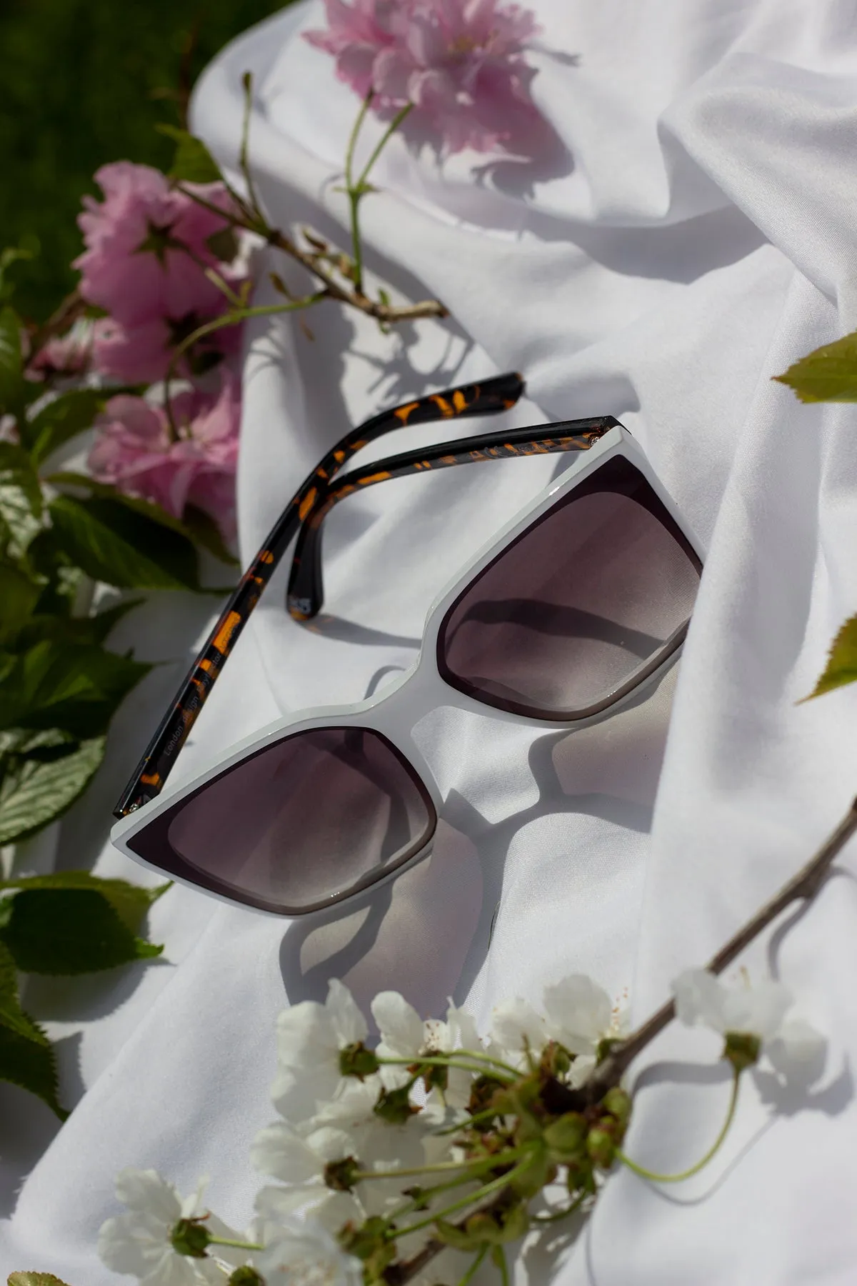 Full Lens Cat Eye Point Sunglasses