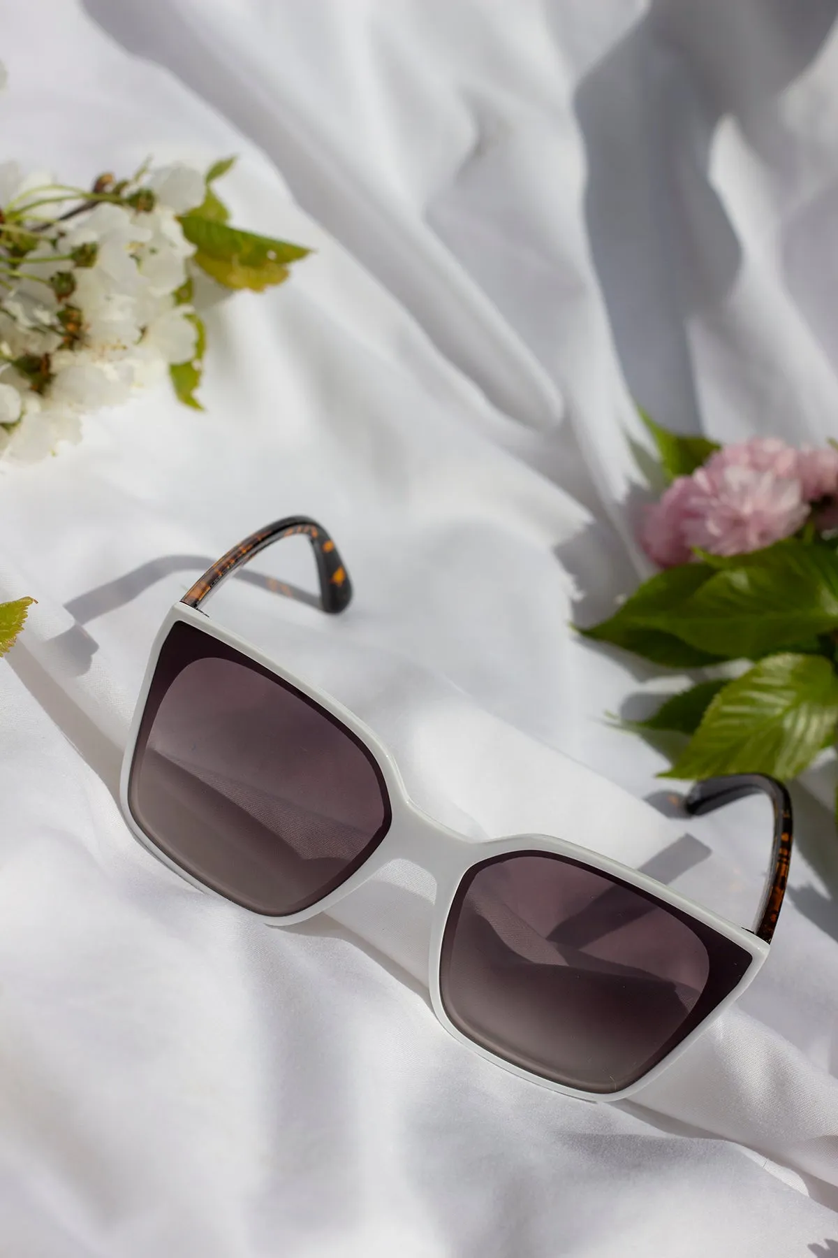 Full Lens Cat Eye Point Sunglasses