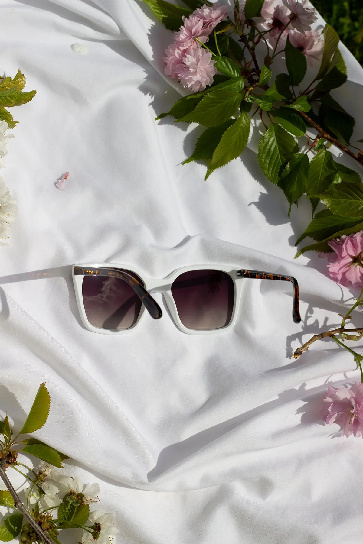Full Lens Cat Eye Point Sunglasses