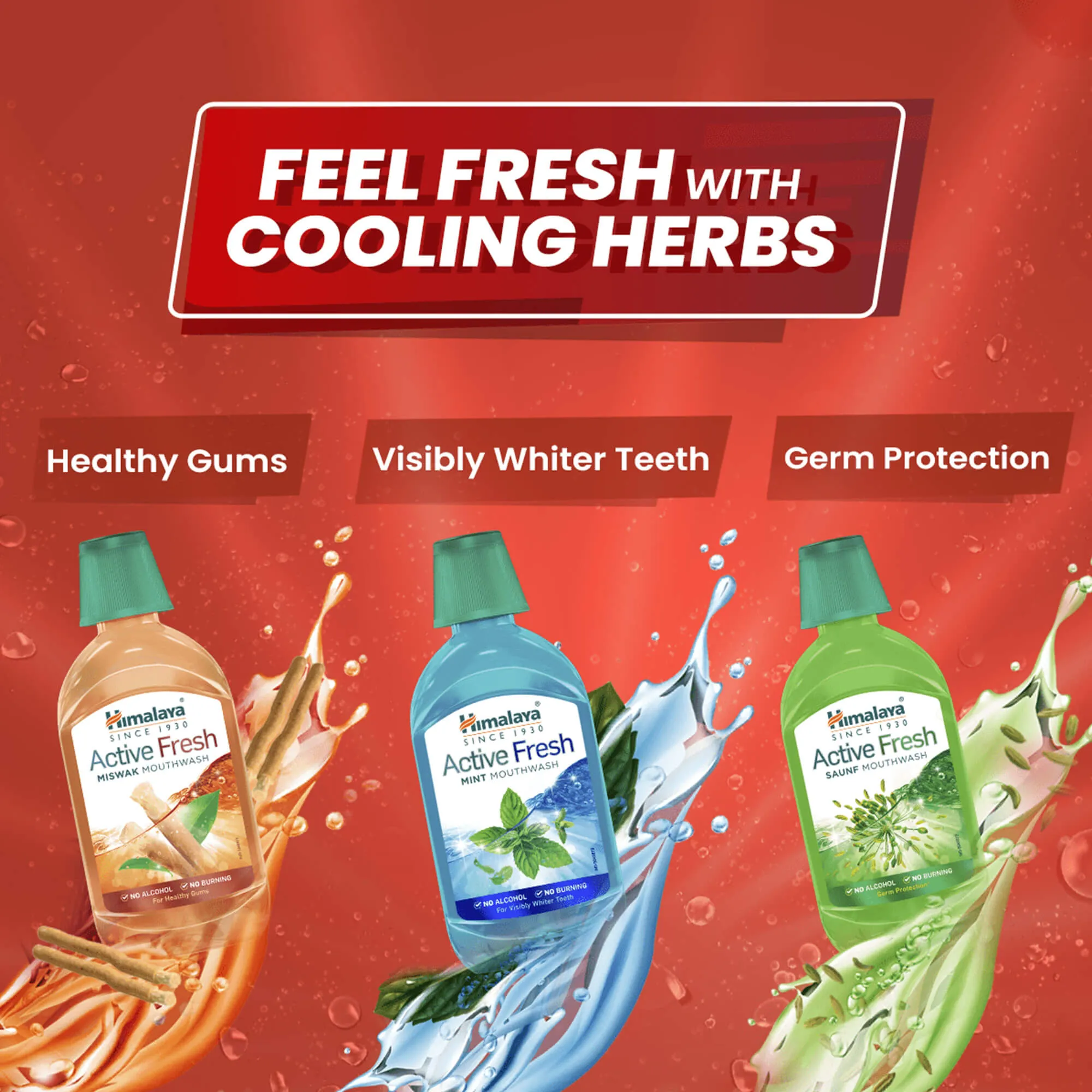 Himalaya Active Fresh Miswak Mouthwash