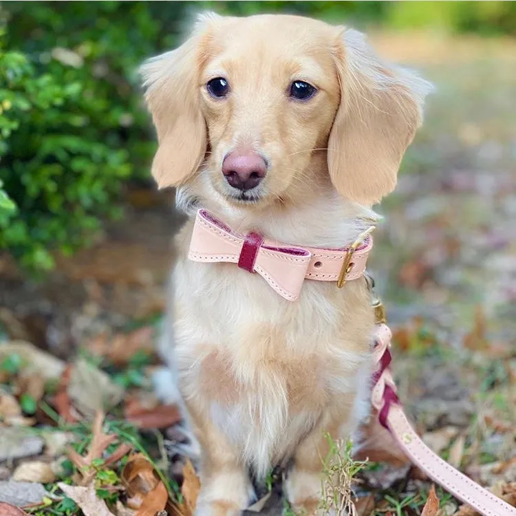 LEASH - LUSCIOUS BOW