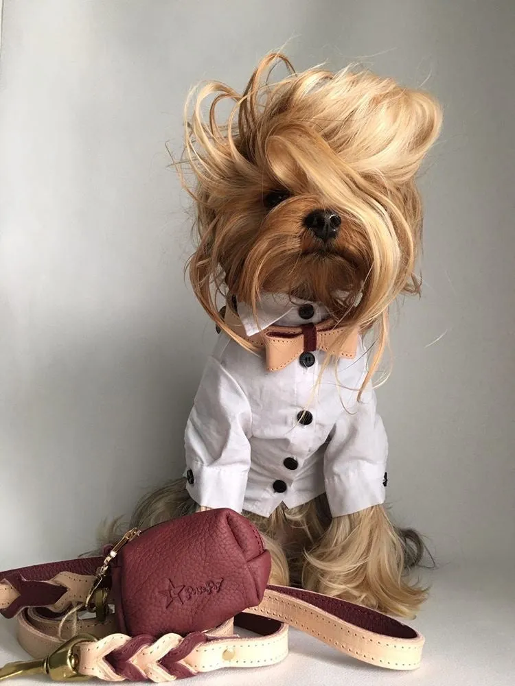 LEASH - LUSCIOUS BOW