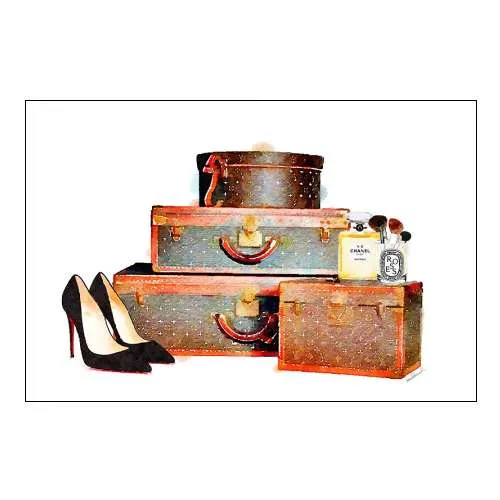 Luggage Collection