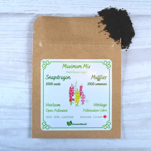 Maximum Mix Snapdragon Seeds