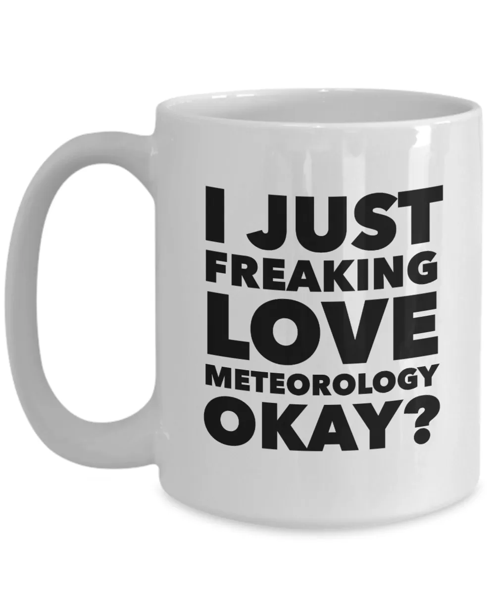 Meteorologist Gifts I Just Freaking Love Meteorology Okay Funny Mug Ceramic Coffee Cup