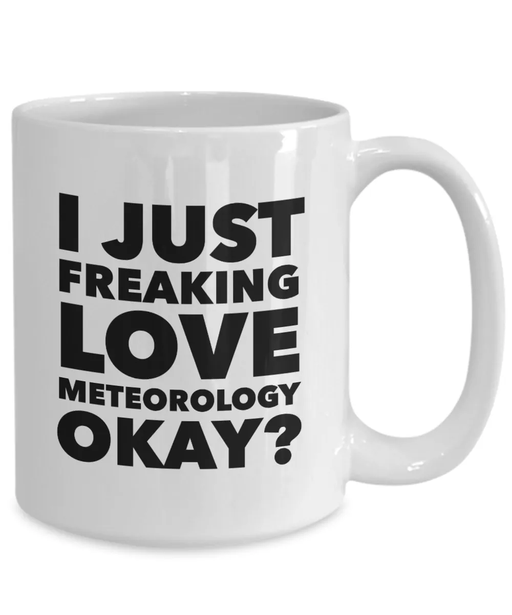 Meteorologist Gifts I Just Freaking Love Meteorology Okay Funny Mug Ceramic Coffee Cup