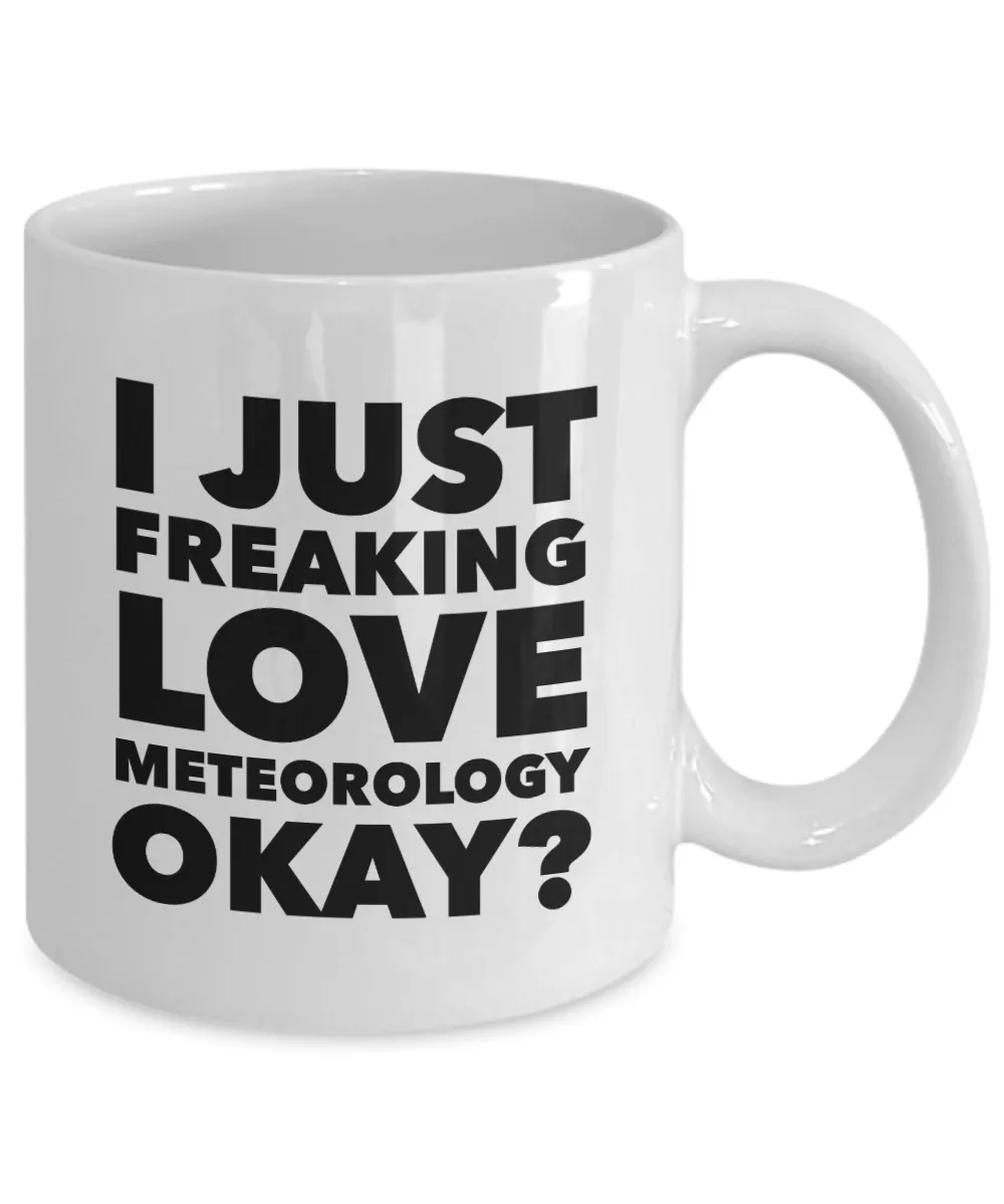 Meteorologist Gifts I Just Freaking Love Meteorology Okay Funny Mug Ceramic Coffee Cup