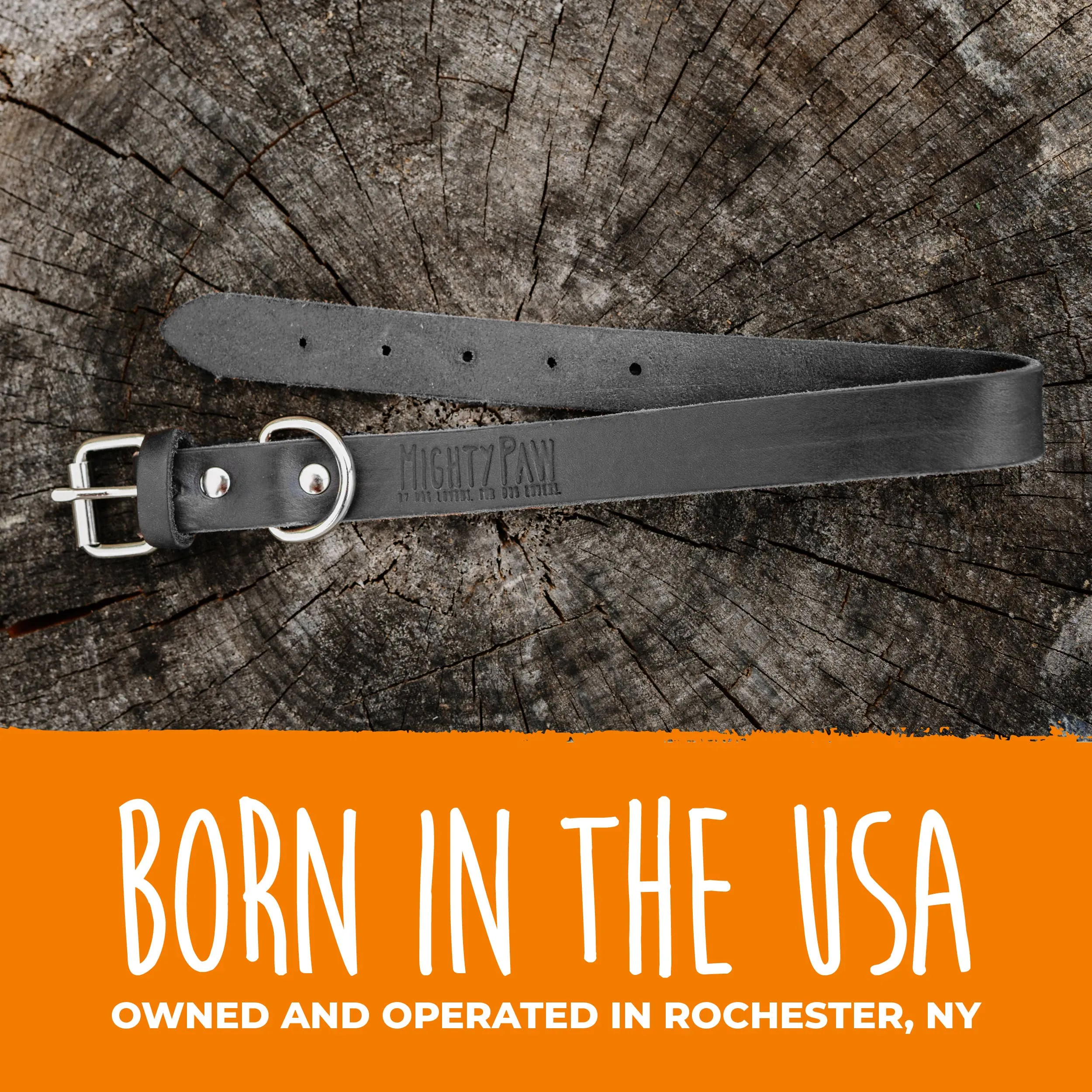 Mighty Paw - Leather Dog Collar - Distressed