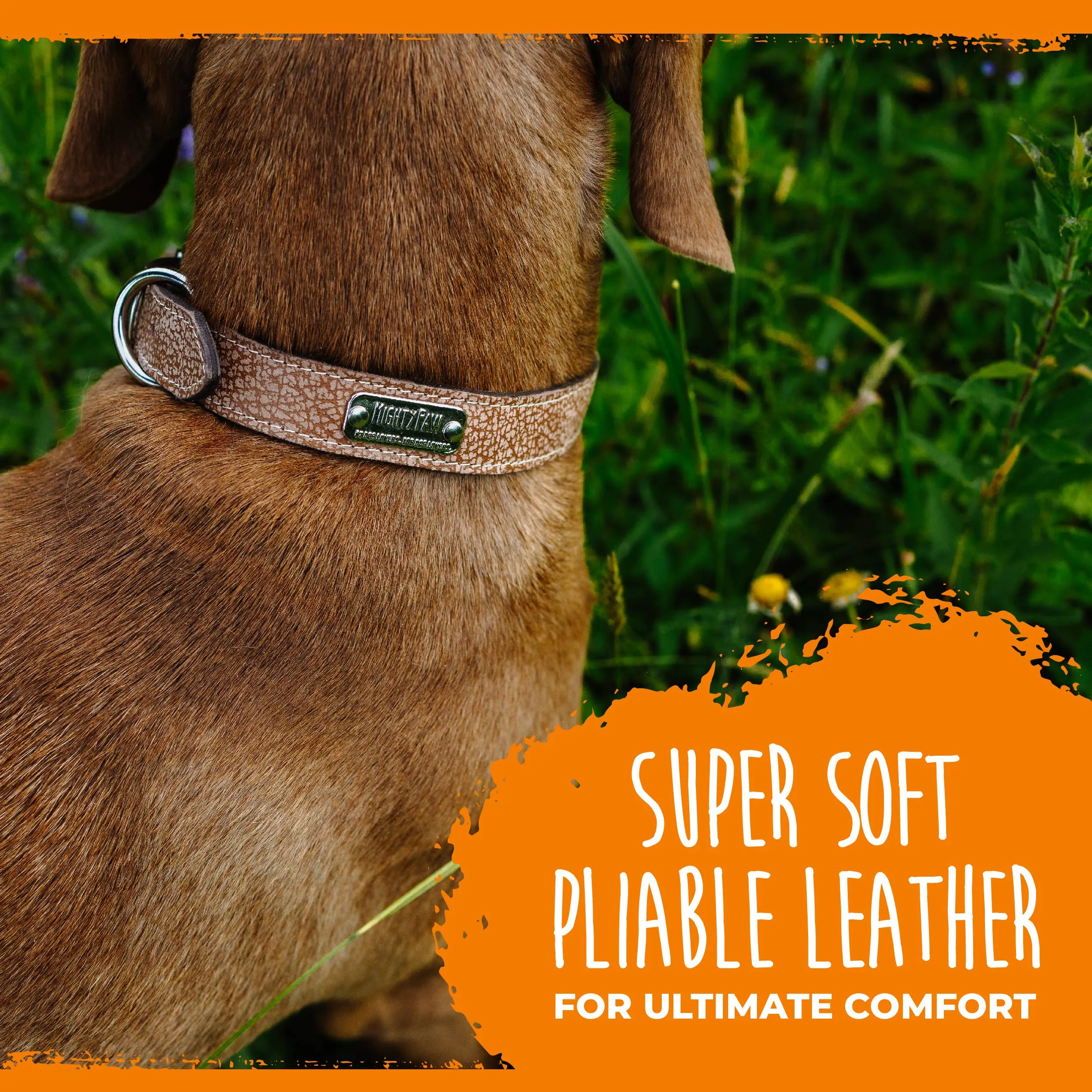 Mighty Paw - Leather Dog Collar - Distressed