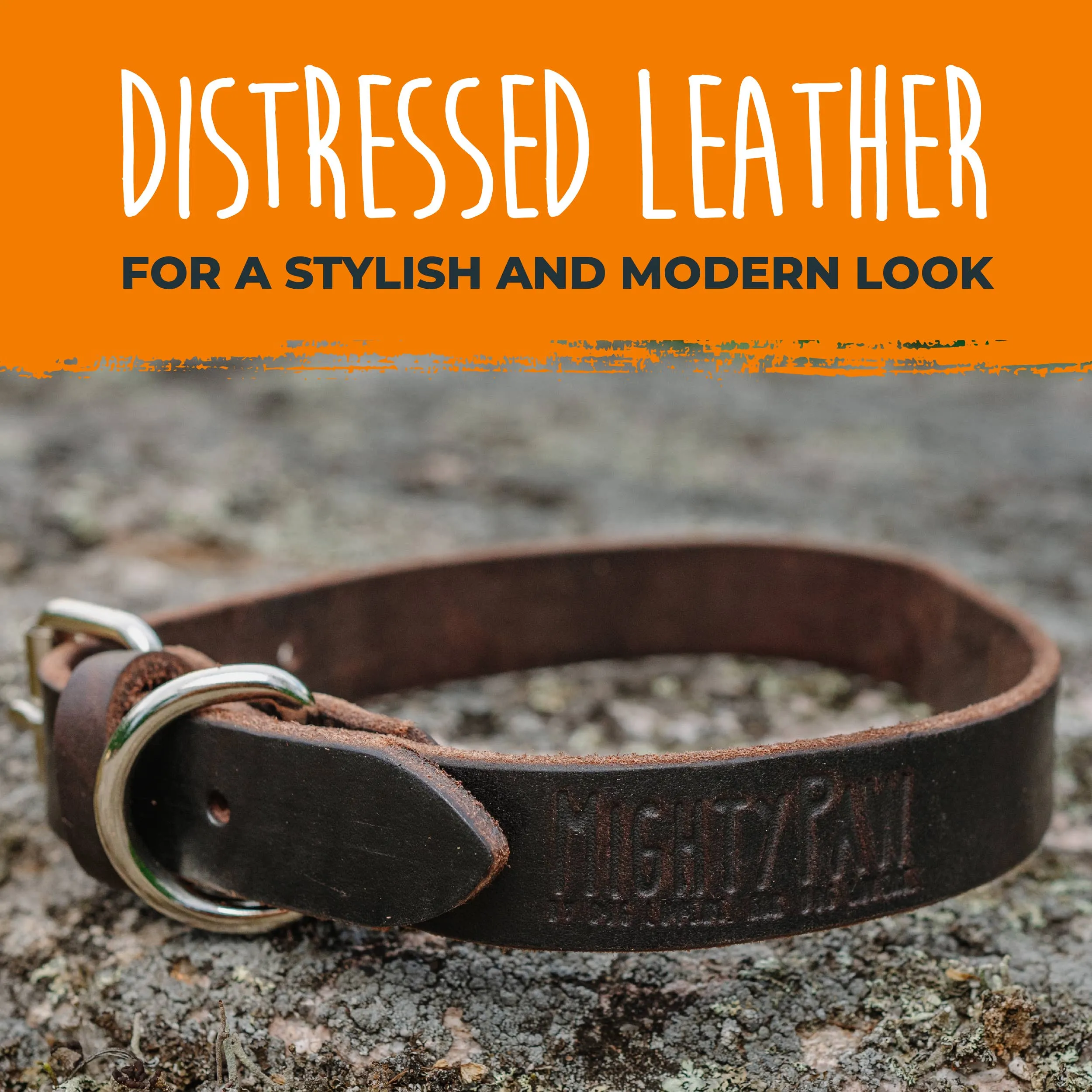 Mighty Paw - Leather Dog Collar - Distressed