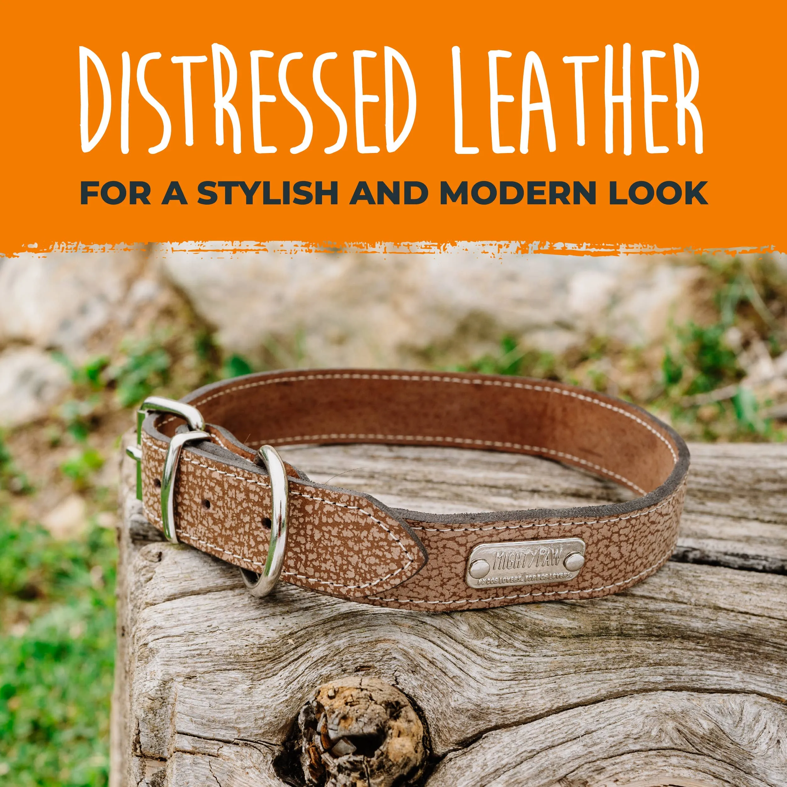 Mighty Paw - Leather Dog Collar - Distressed
