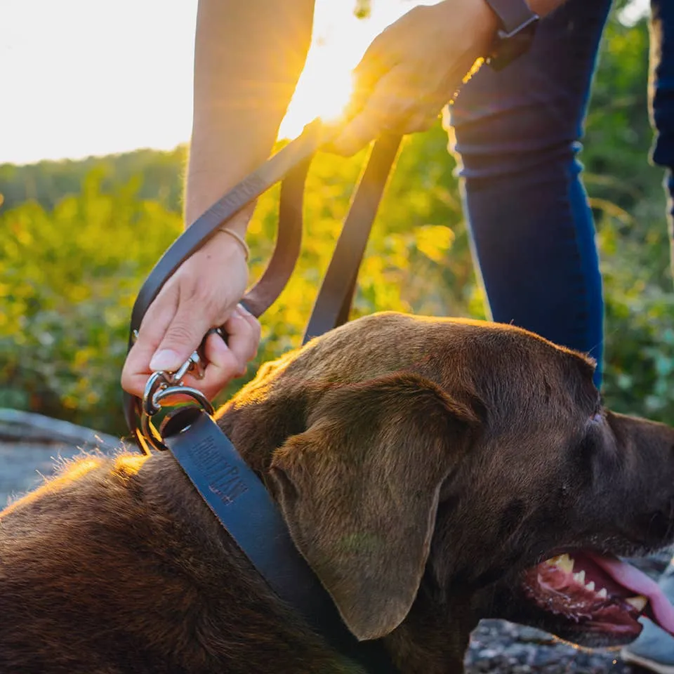 Mighty Paw - Leather Dog Collar - Distressed