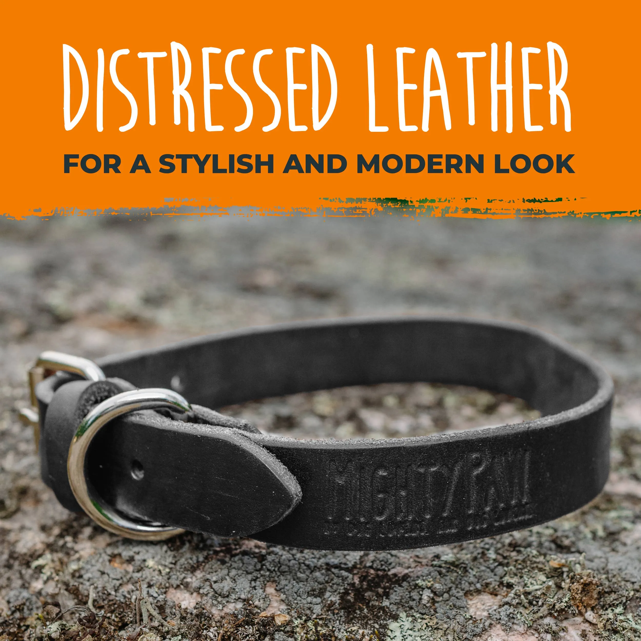 Mighty Paw - Leather Dog Collar - Distressed