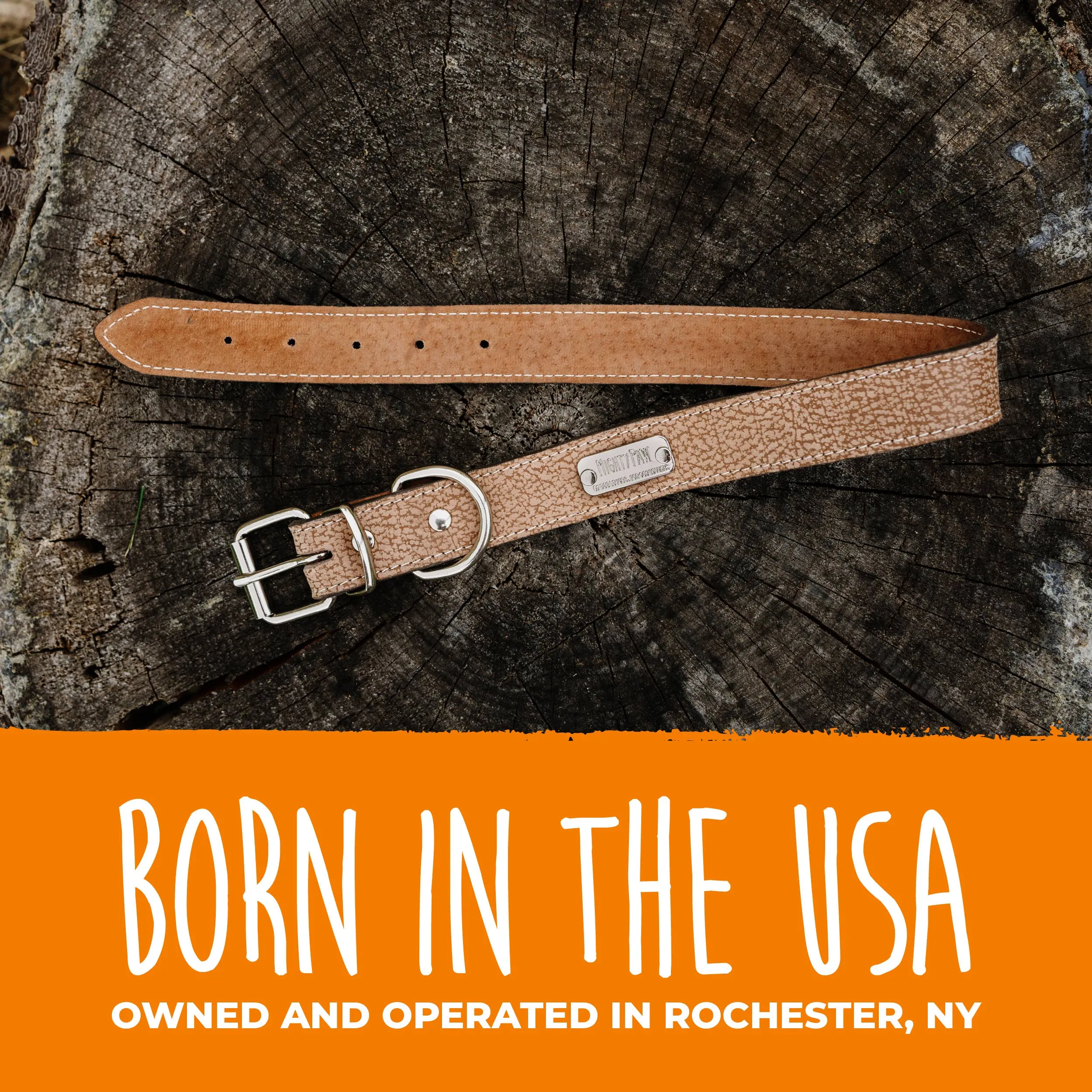 Mighty Paw - Leather Dog Collar - Distressed