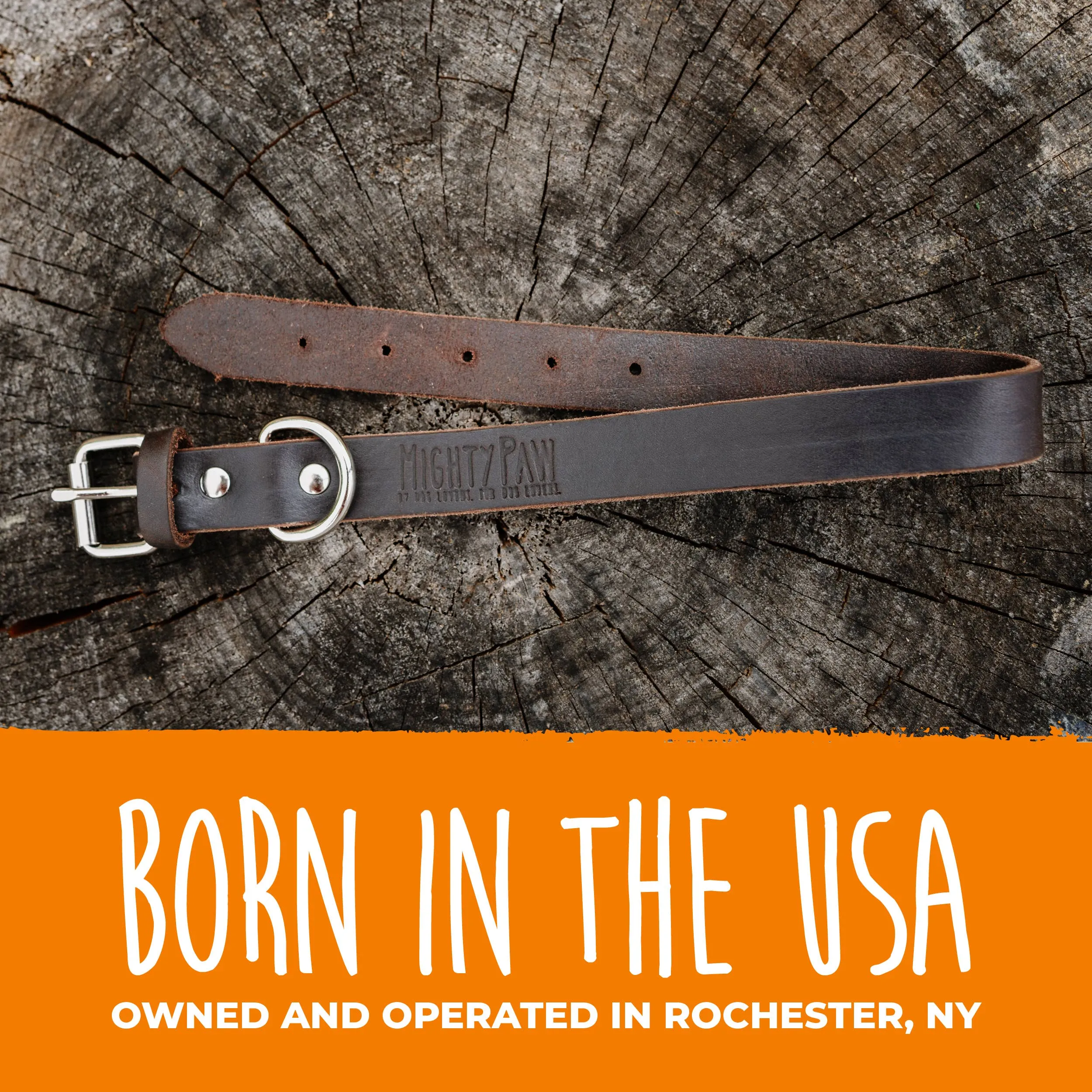 Mighty Paw - Leather Dog Collar - Distressed