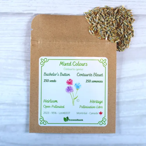 Mixed Colours Bachelors Button Seeds