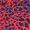 Red Printed Ruched Sleeve Dress